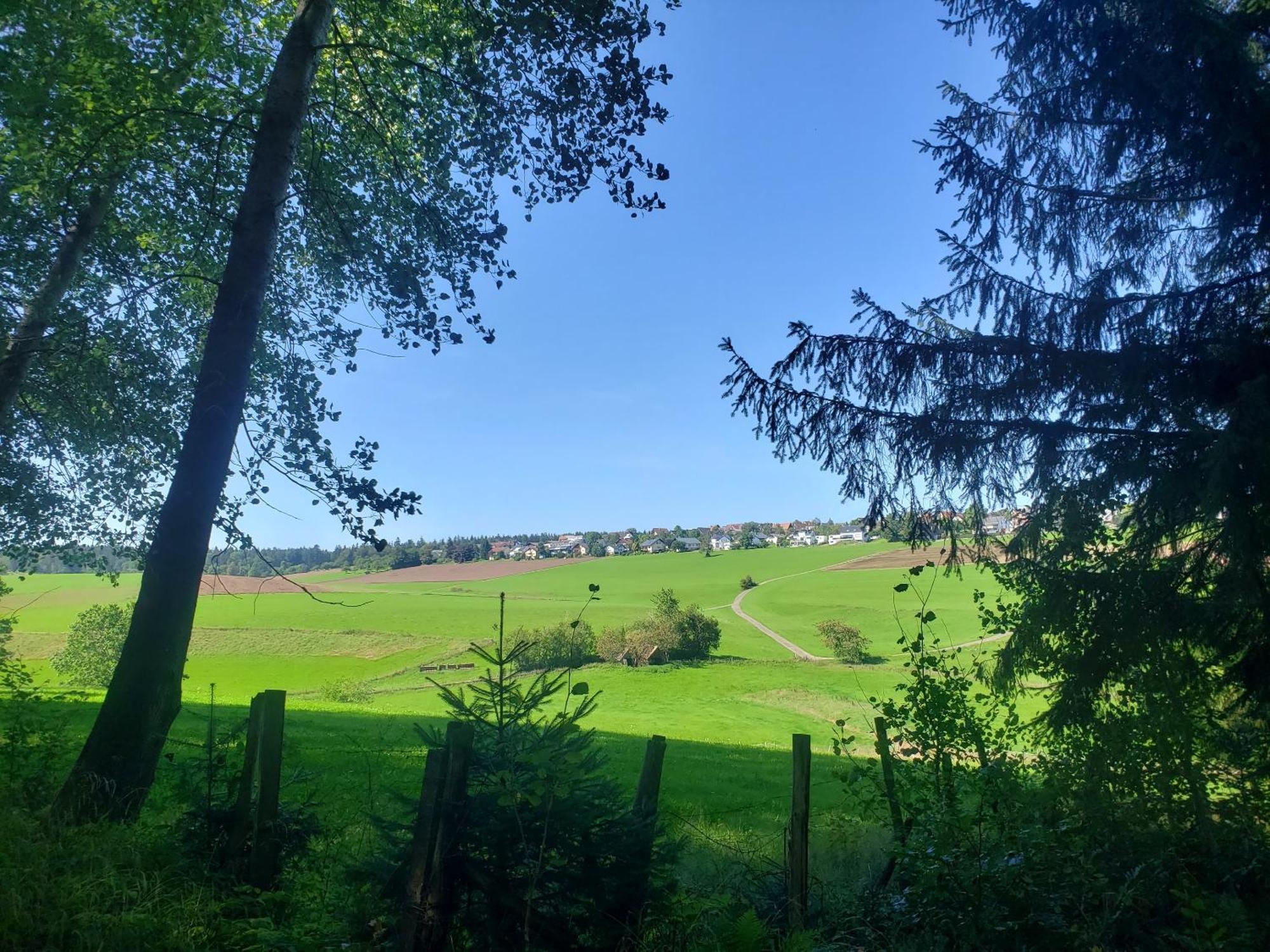 Hotel Alter Hirsch Pfalzgrafenweiler Zewnętrze zdjęcie
